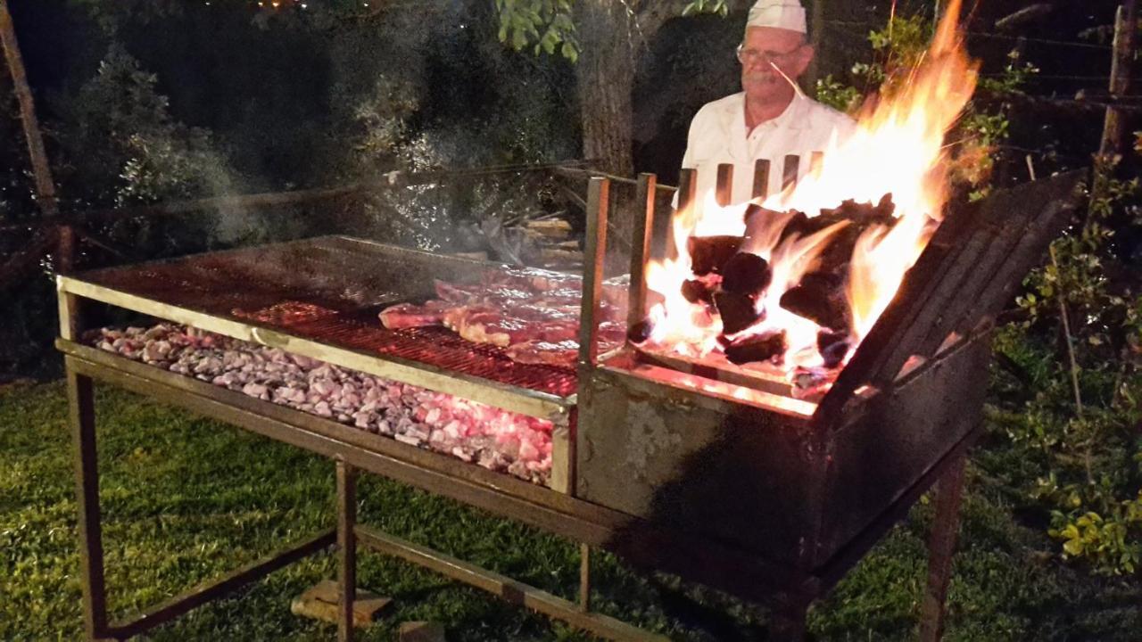 Il Palazzo - Agriturismo, Winery Arezzo Ngoại thất bức ảnh