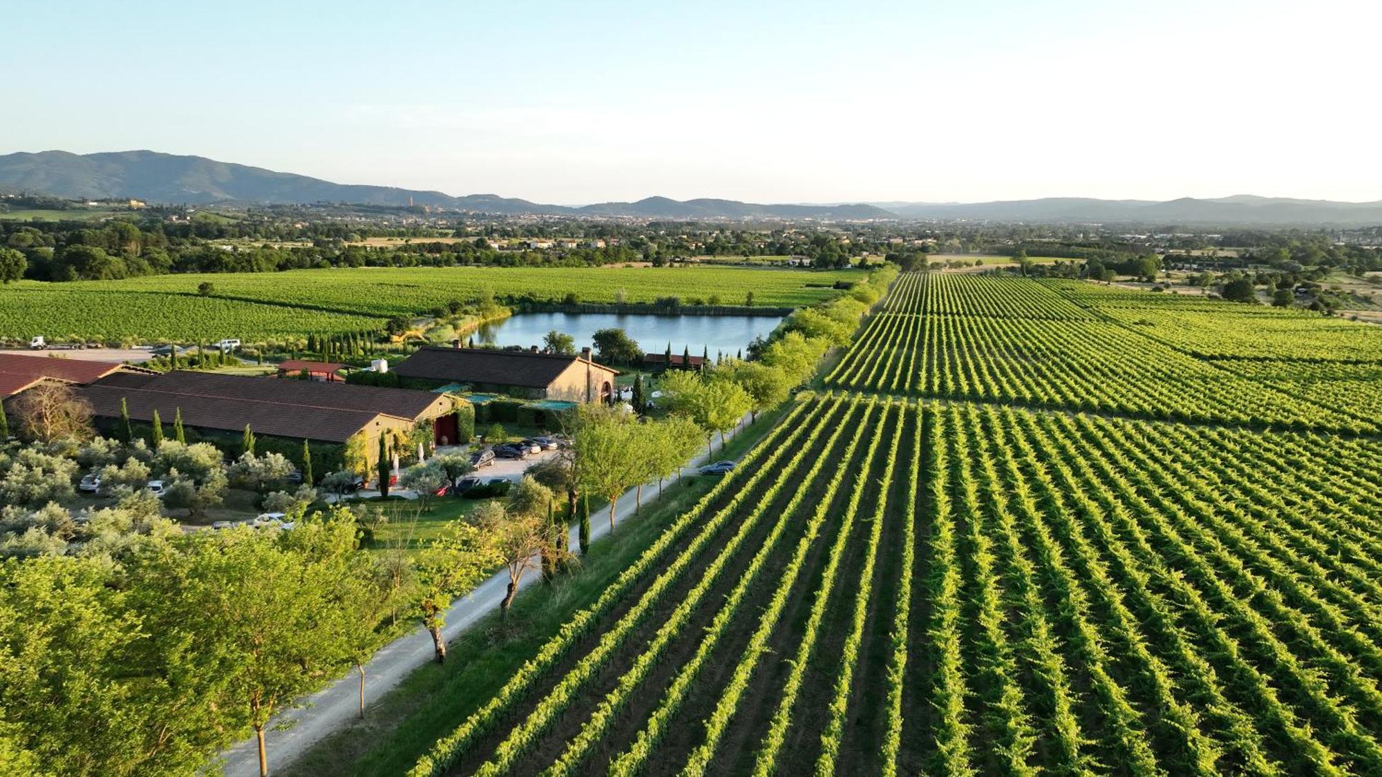 Il Palazzo - Agriturismo, Winery Arezzo Ngoại thất bức ảnh