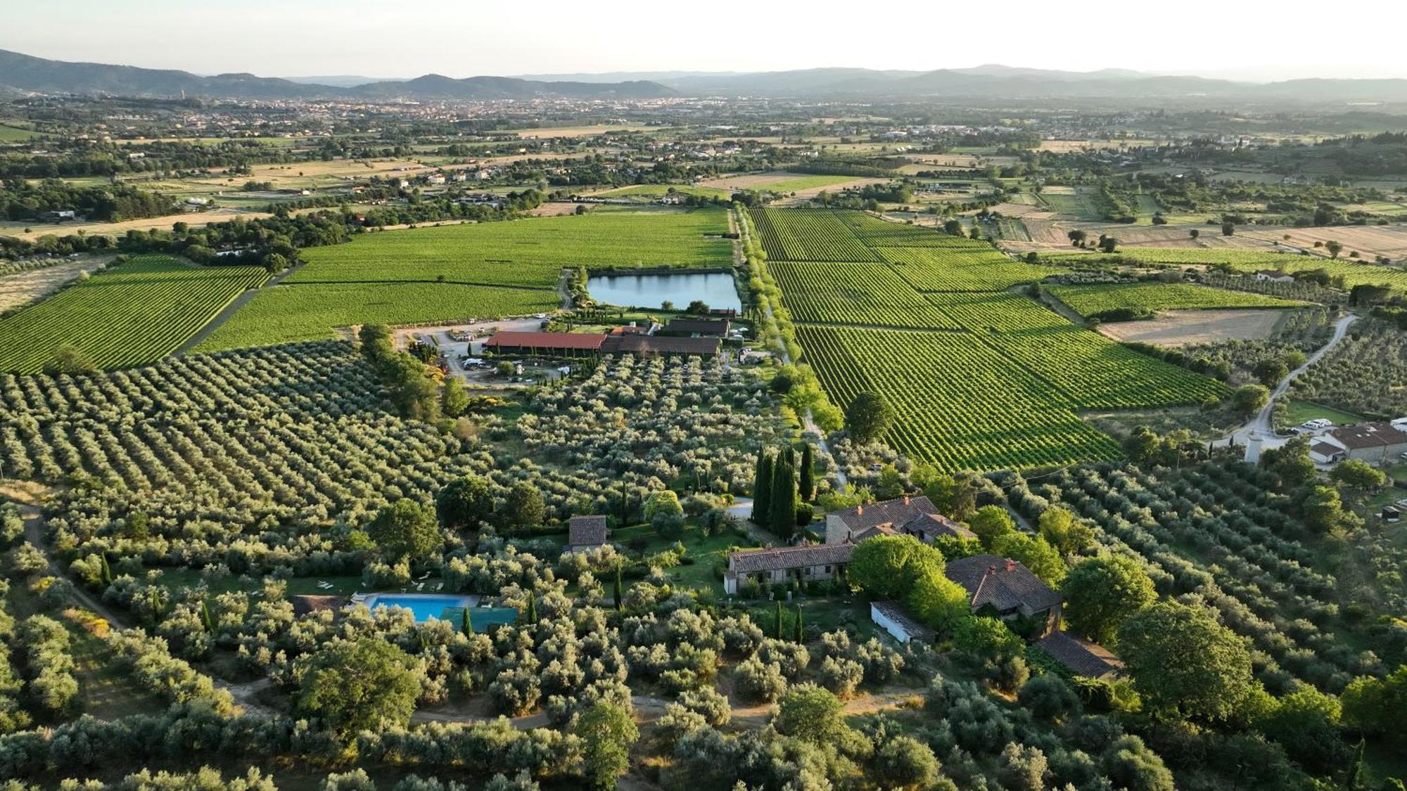 Il Palazzo - Agriturismo, Winery Arezzo Ngoại thất bức ảnh