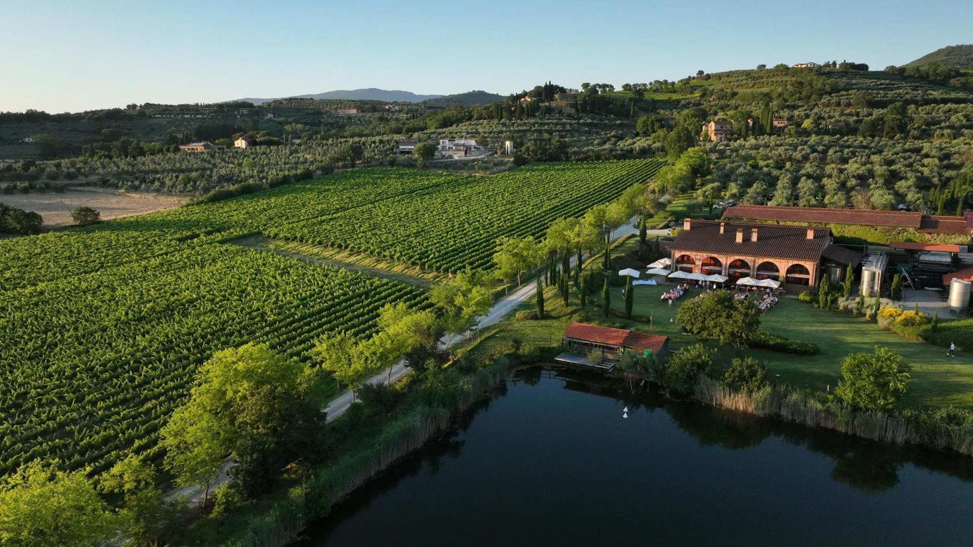 Il Palazzo - Agriturismo, Winery Arezzo Ngoại thất bức ảnh