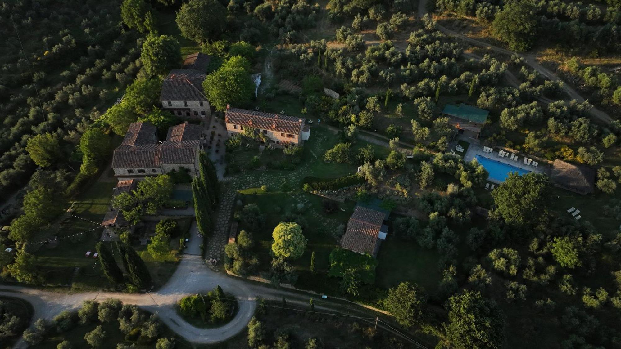 Il Palazzo - Agriturismo, Winery Arezzo Ngoại thất bức ảnh