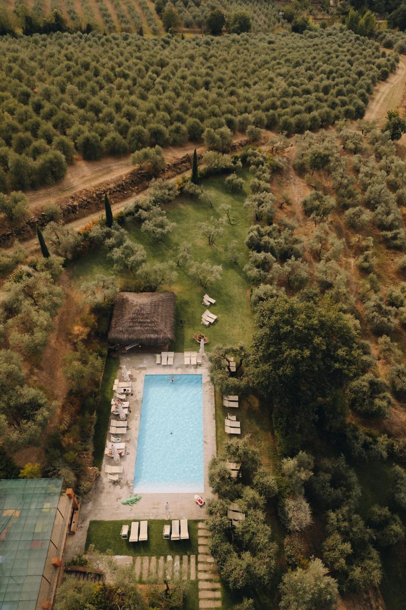 Il Palazzo - Agriturismo, Winery Arezzo Ngoại thất bức ảnh